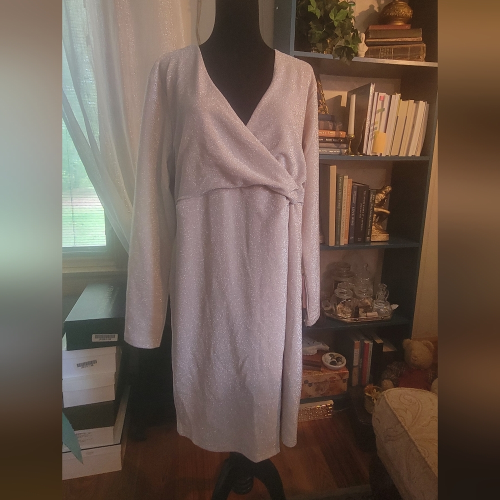 Long sleeve size XL sparkly light pink dress